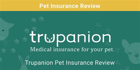 trupanion pet insurance coverage alternatives.